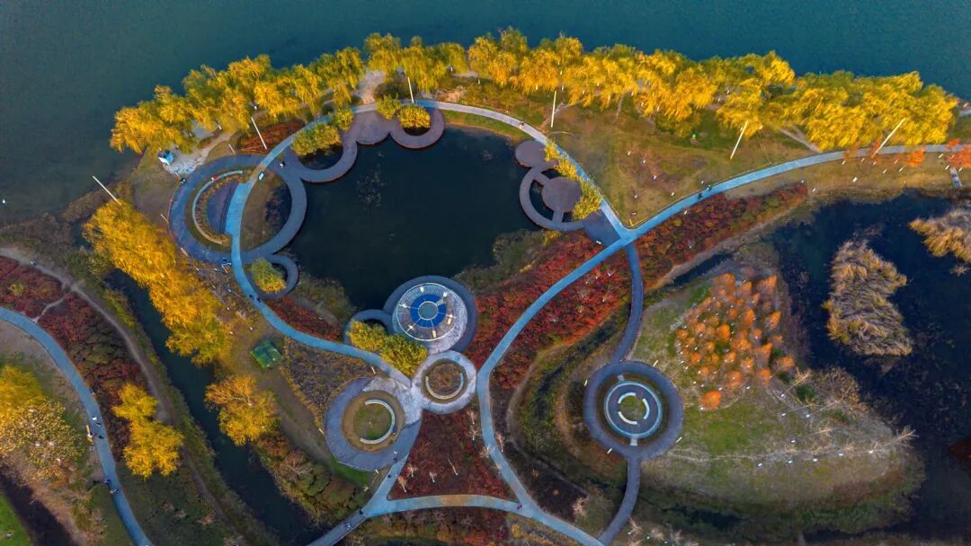 美!河南冬景上新啦