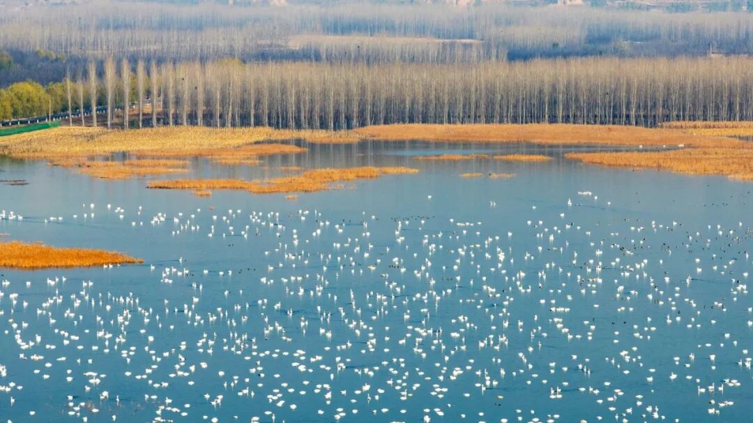 美!河南冬景上新啦