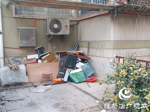 飛龍小區拾荒亂象引爭議 多方協力整治除隱患