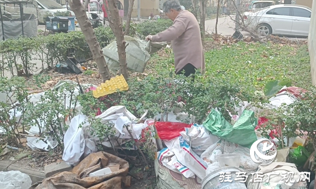 飛龍小區拾荒亂象引爭議 多方協力整治除隱患