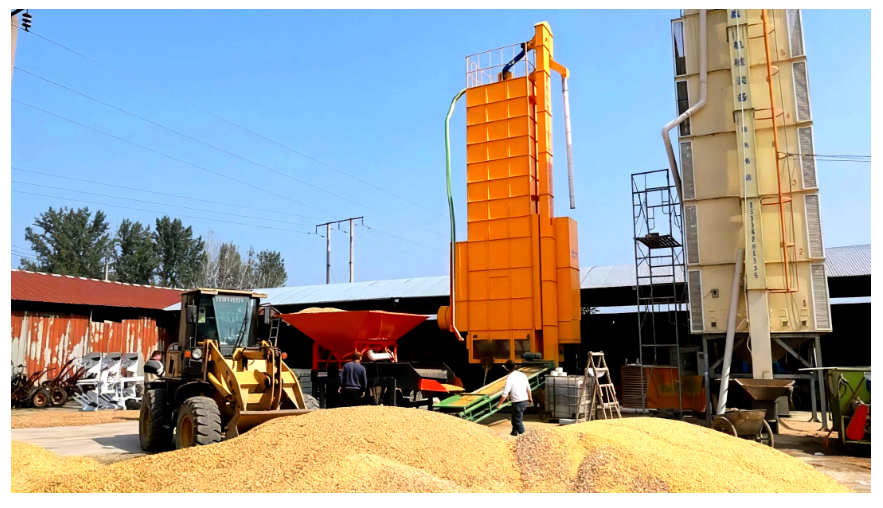 糧食總產(chǎn)量1350.98億斤 河南豐收不易擔(dān)當(dāng)更重