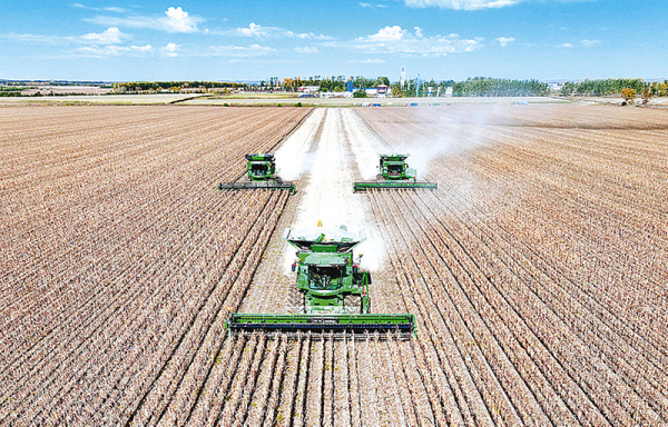 超1.4萬億斤！2025年全國糧食實現豐收