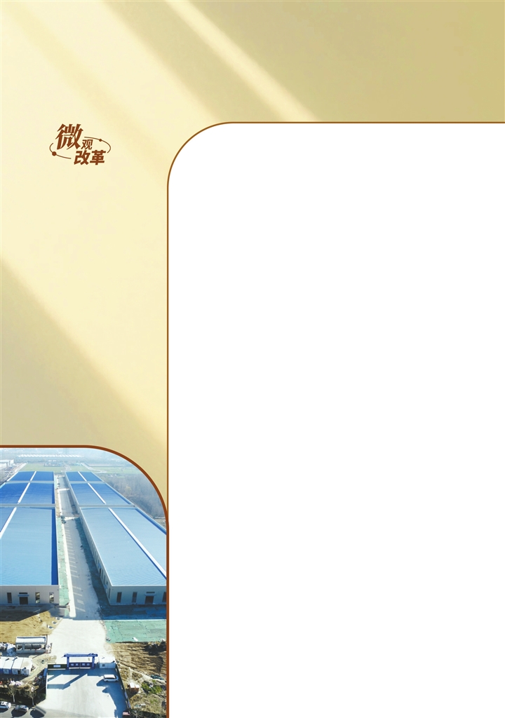 河南深化土地要素市場化配置改革,全面推行“交地即發證”