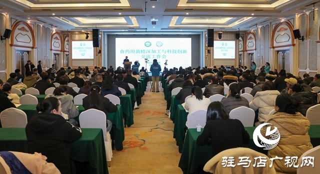 泌陽迎菌業年度盛會 聚智賦能繪就產業升級新藍圖