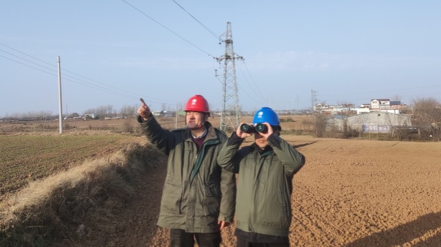 國網正陽縣供電公司:精益化巡視 護航電網安全運行