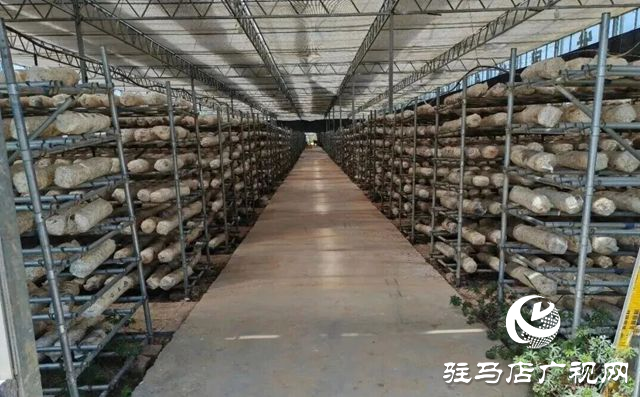 驛城區老河鄉被評為“美麗中國·深呼吸小鎮”