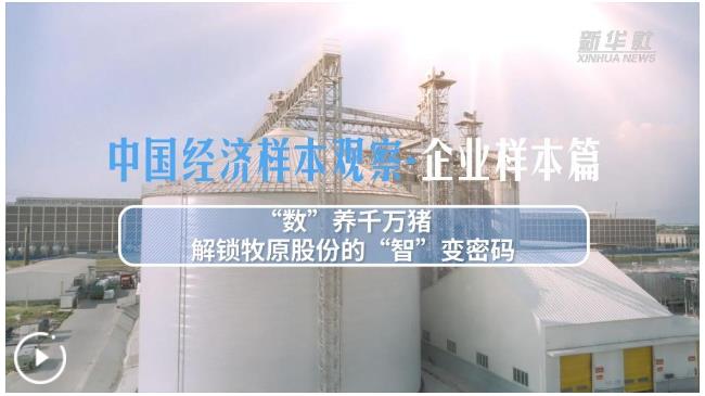 中國經濟樣本觀察&middot;企業樣本篇丨&ldquo;數&rdquo;養千萬豬&mdash;&mdash;解鎖牧原股份的&ldquo;智&rdquo;變密碼