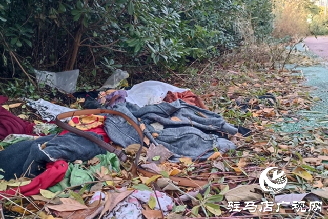 綠地&ldquo;失管&rdquo;變&ldquo;失顏&rdquo; 驛城大道沿線綠化帶衛(wèi)生堪憂