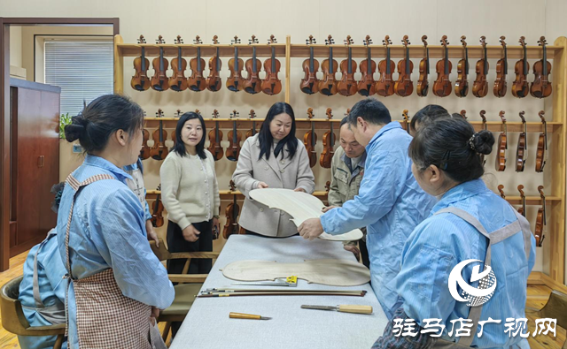 郭新社：從打工妹到領(lǐng)雁人 琴弦撥動(dòng)家鄉(xiāng)“致富曲”???????