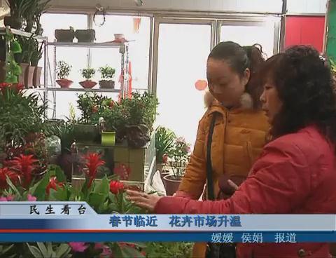 春節臨近 花卉市場升溫