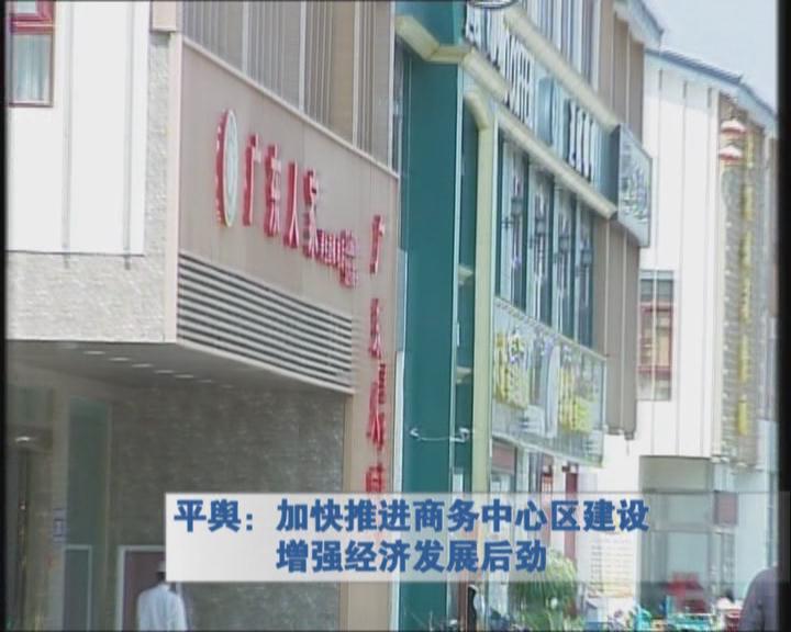 平輿：加快推進商務中心區建設增強經濟發展后勁