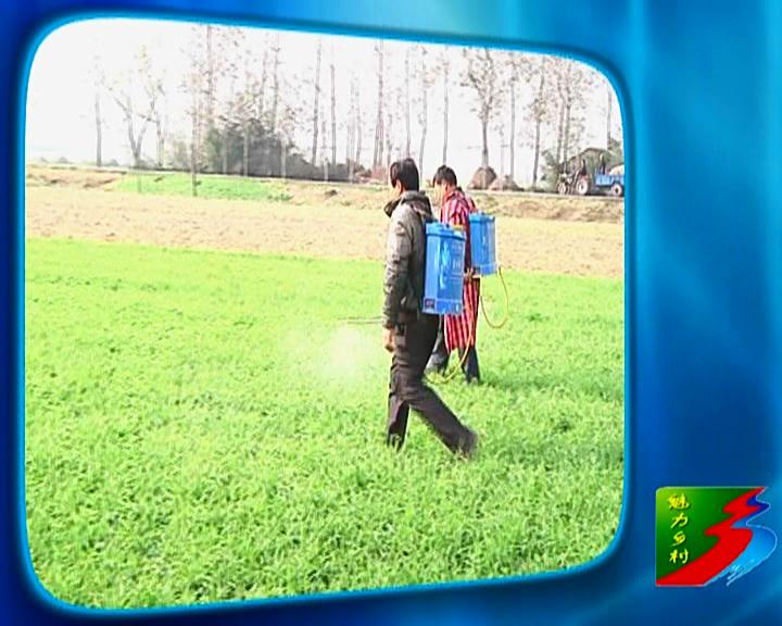  魅力鄉村《112期》