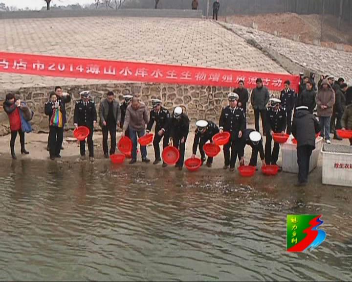 魅力鄉村《114期》