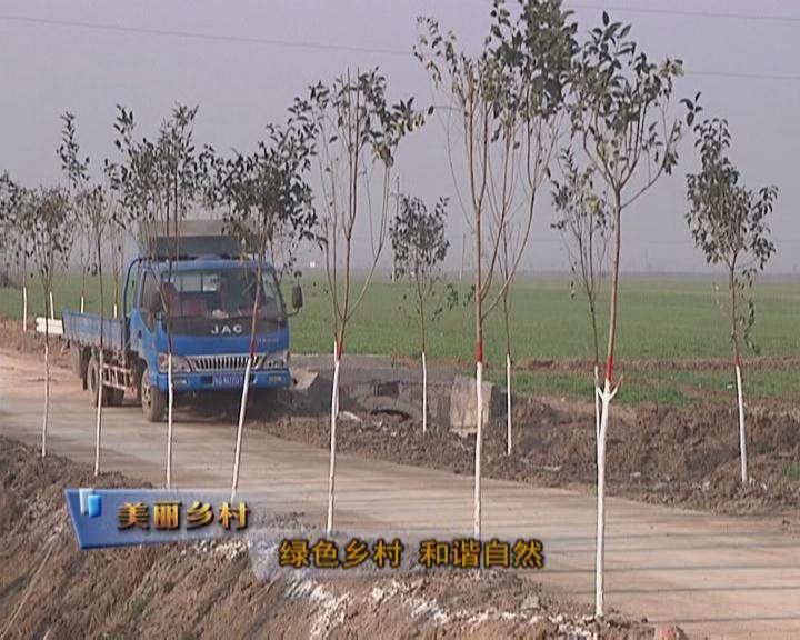 魅力鄉村《115期》