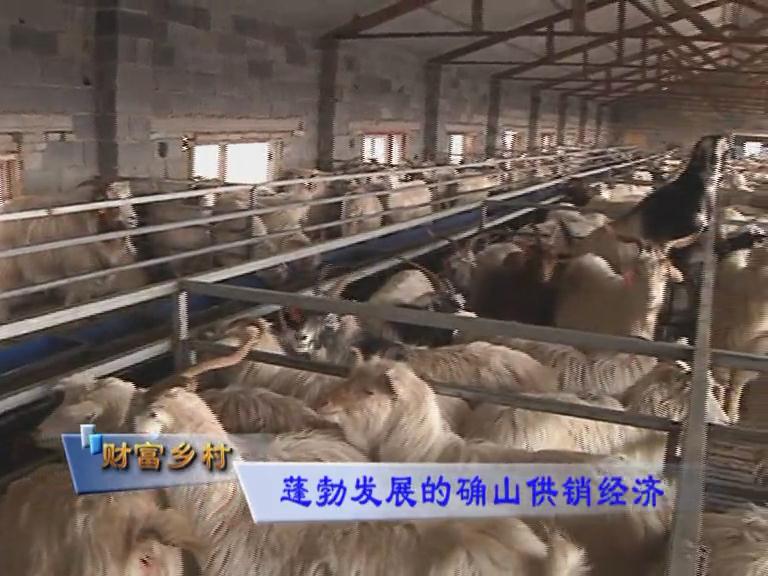 魅力鄉村《116期》