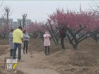 新聞深1°《春節旅游》